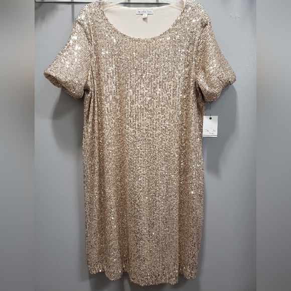 Ophelia Roe Dresses & Skirts - Ophelia Roe NWT Tiny Sequin Covered Rose Gold Dress, Small